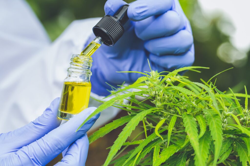 Using CBD Oil to Treat Multiple Sclerosis and Diabetes